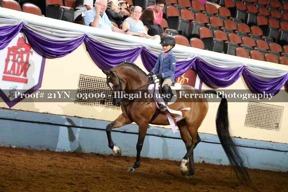 Proof 21YN_03006