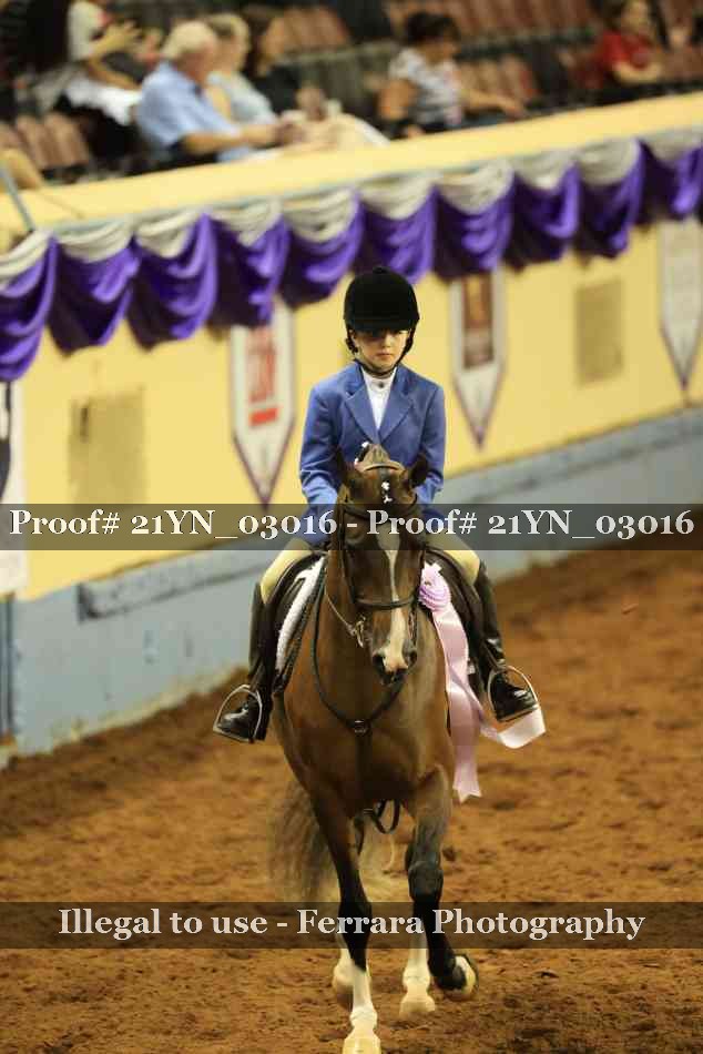 Proof 21YN_03016