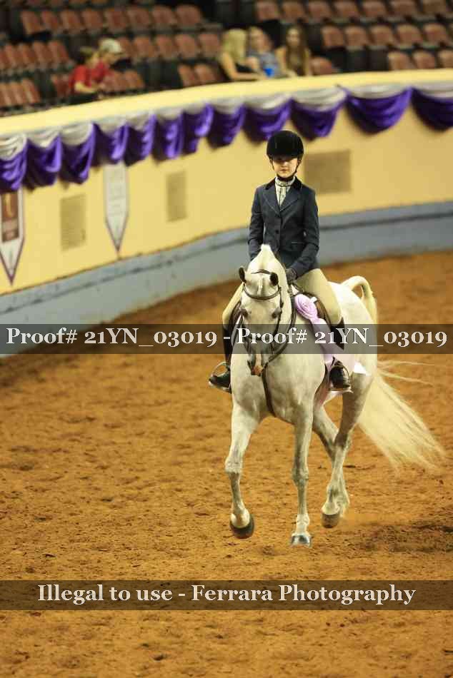 Proof 21YN_03019