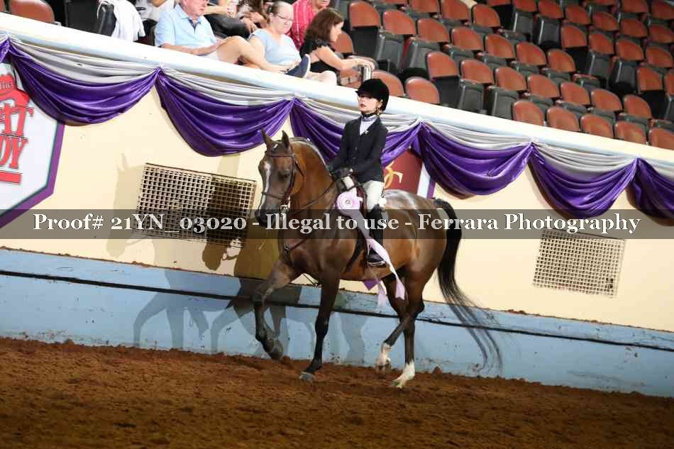 Proof 21YN_03020