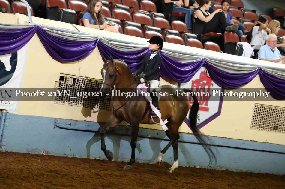 Proof 21YN_03021