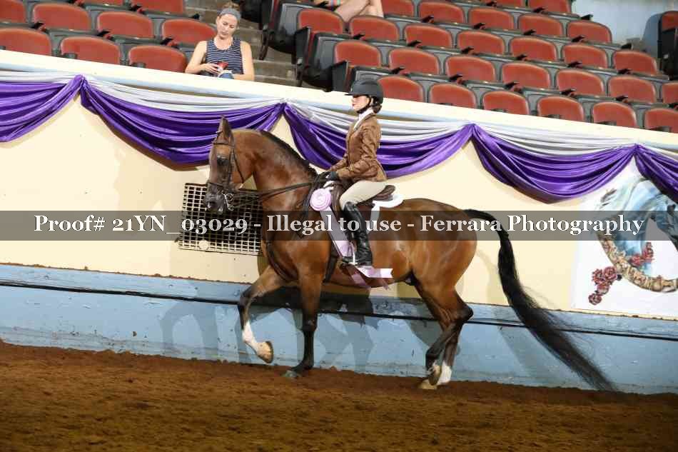 Proof 21YN_03029
