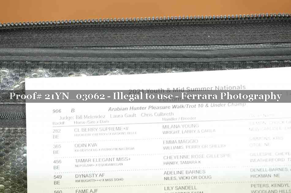 Proof 21YN_03062