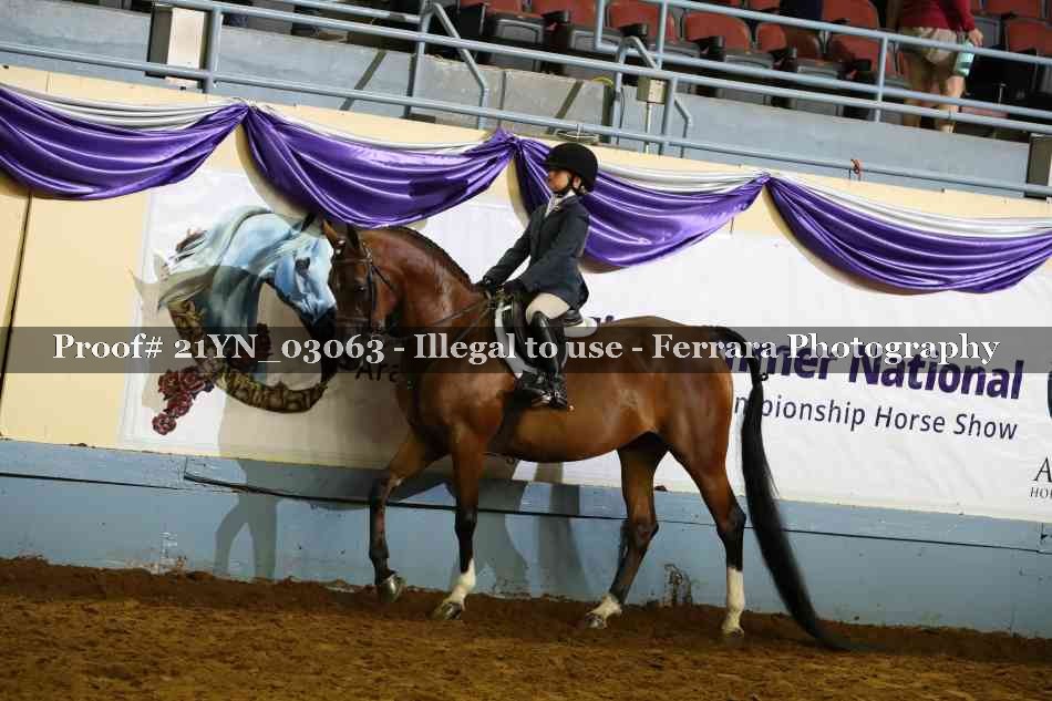 Proof 21YN_03063