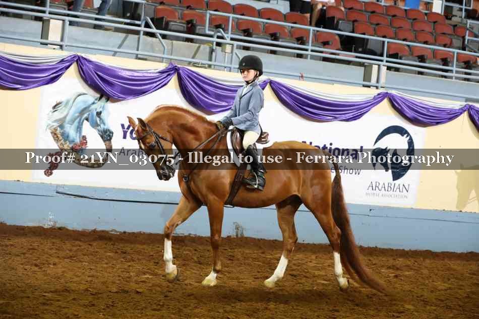 Proof 21YN_03075