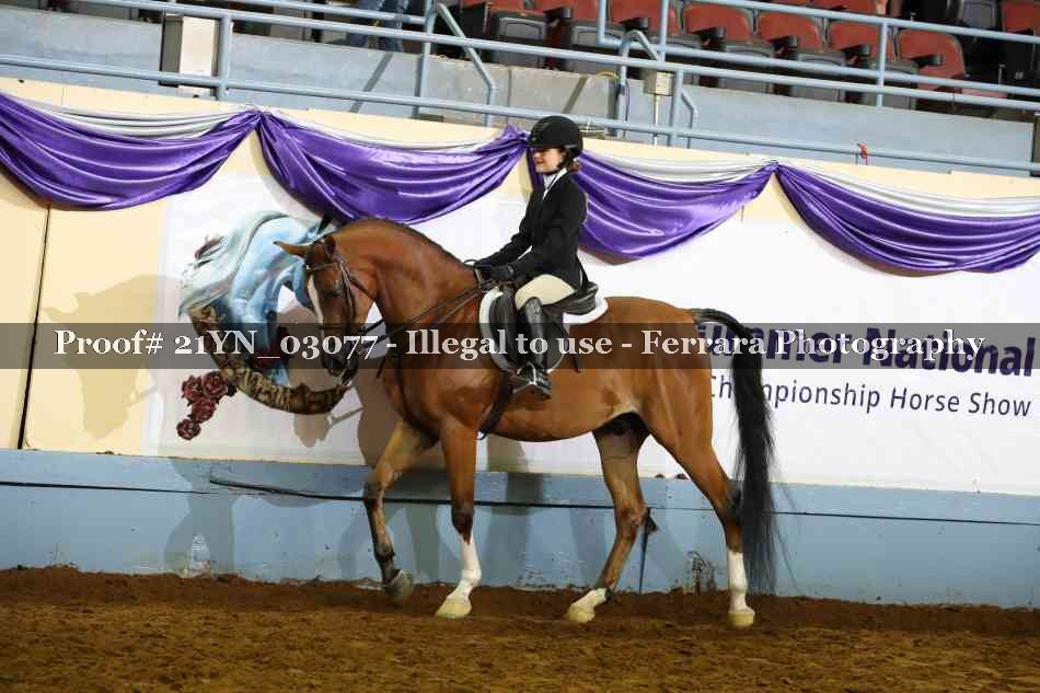 Proof 21YN_03077