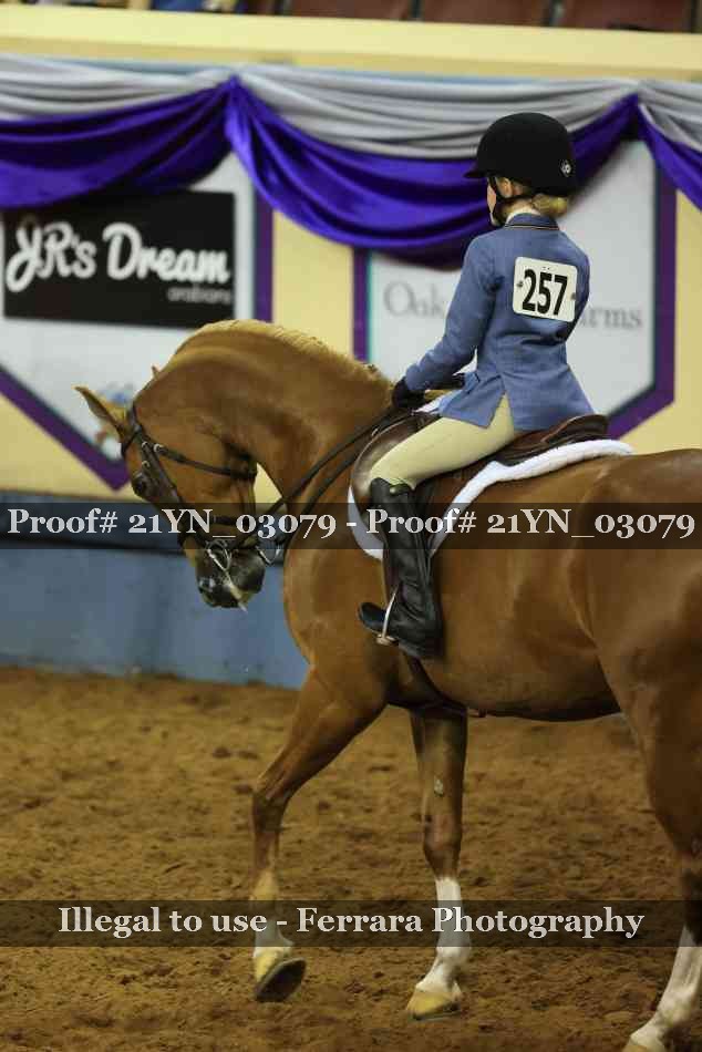 Proof 21YN_03079