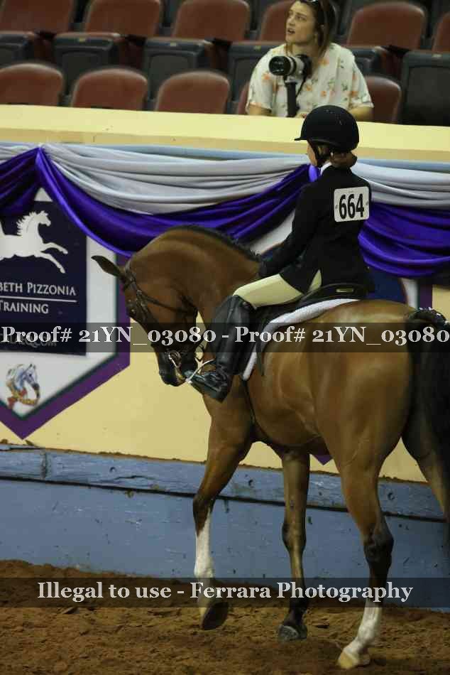 Proof 21YN_03080