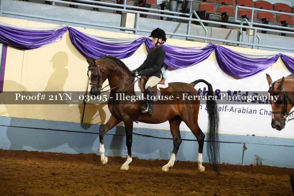 Proof 21YN_03095