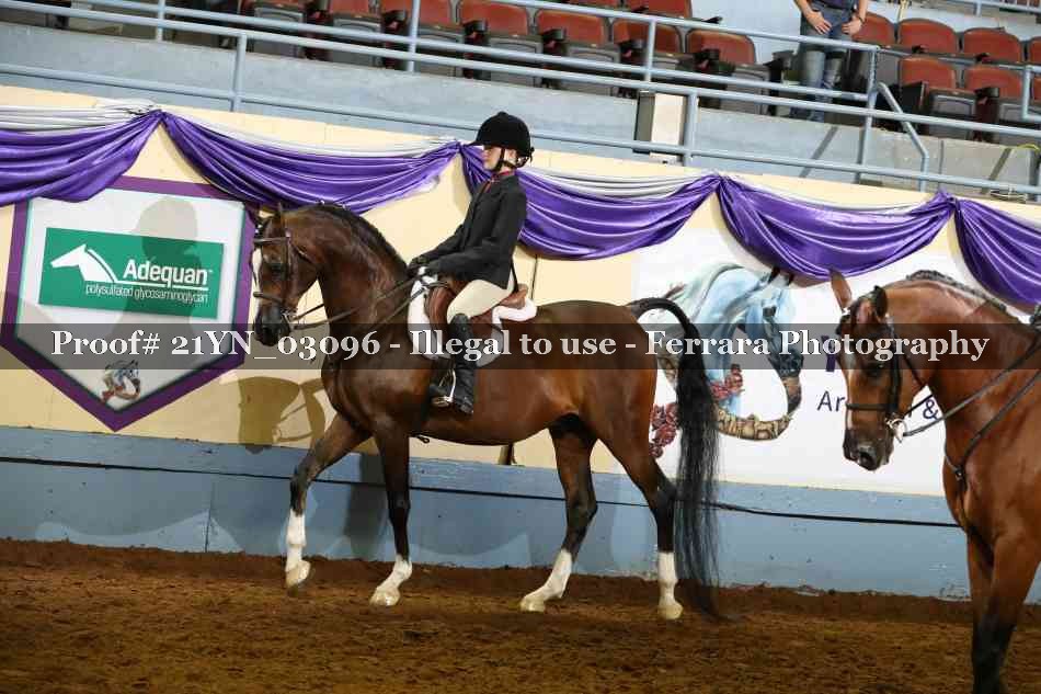 Proof 21YN_03096
