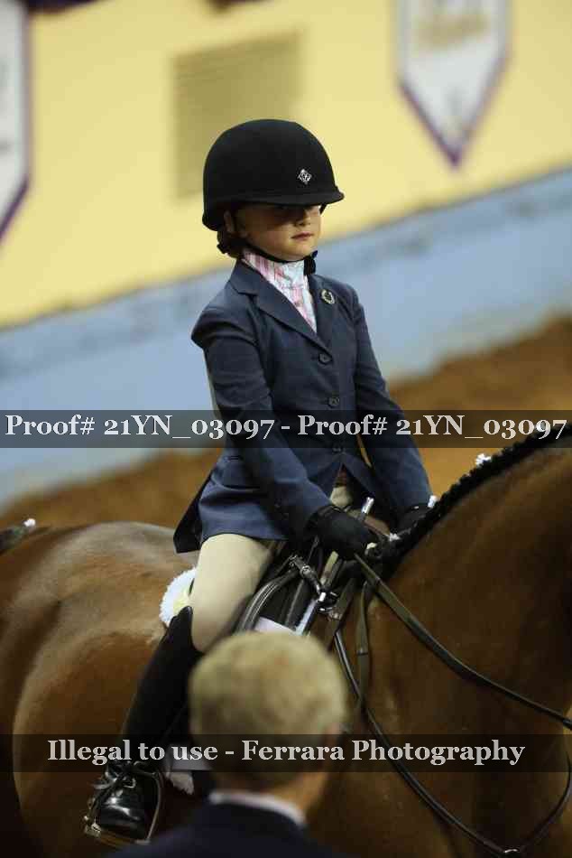 Proof 21YN_03097