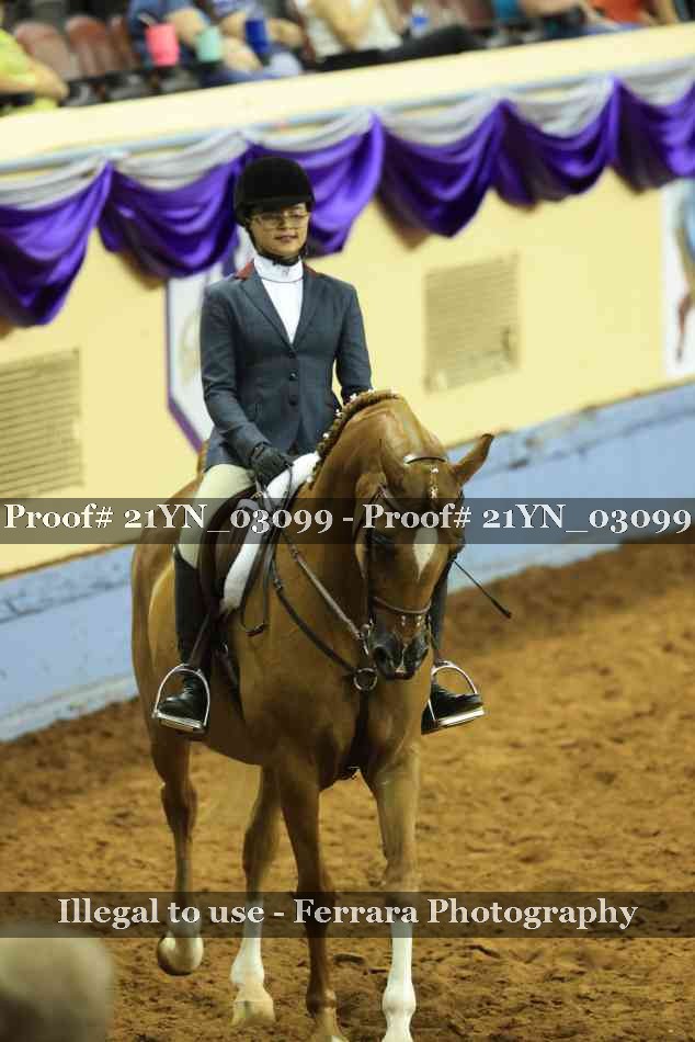 Proof 21YN_03099