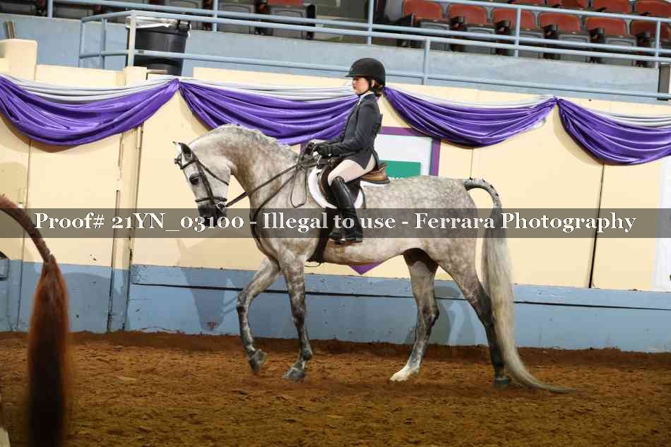 Proof 21YN_03100