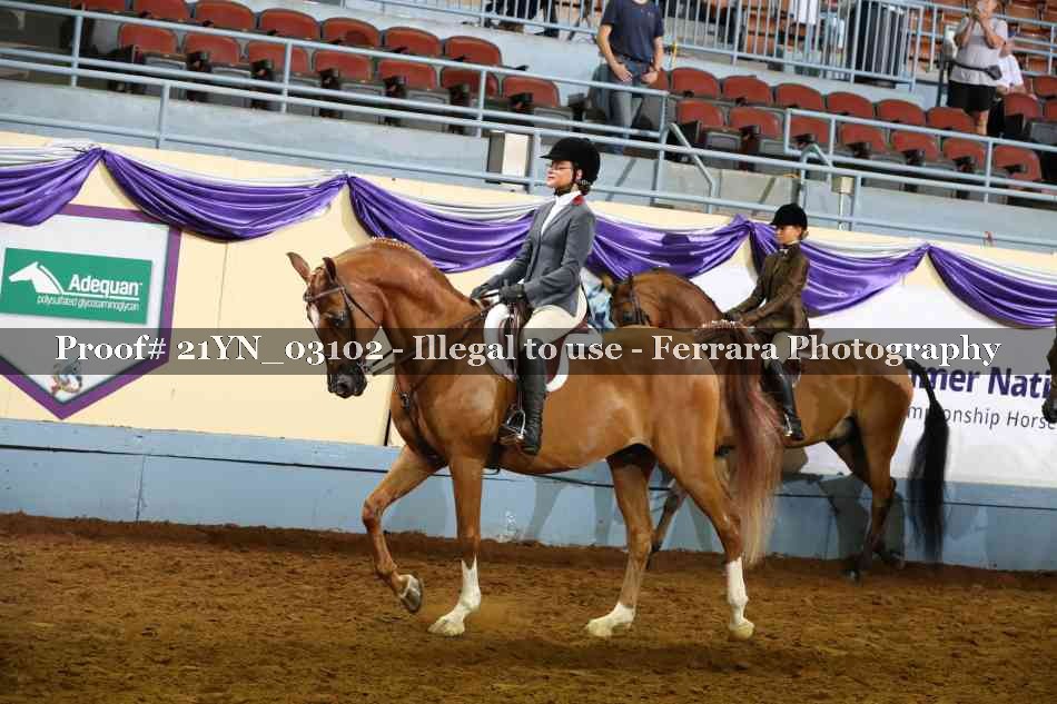 Proof 21YN_03102