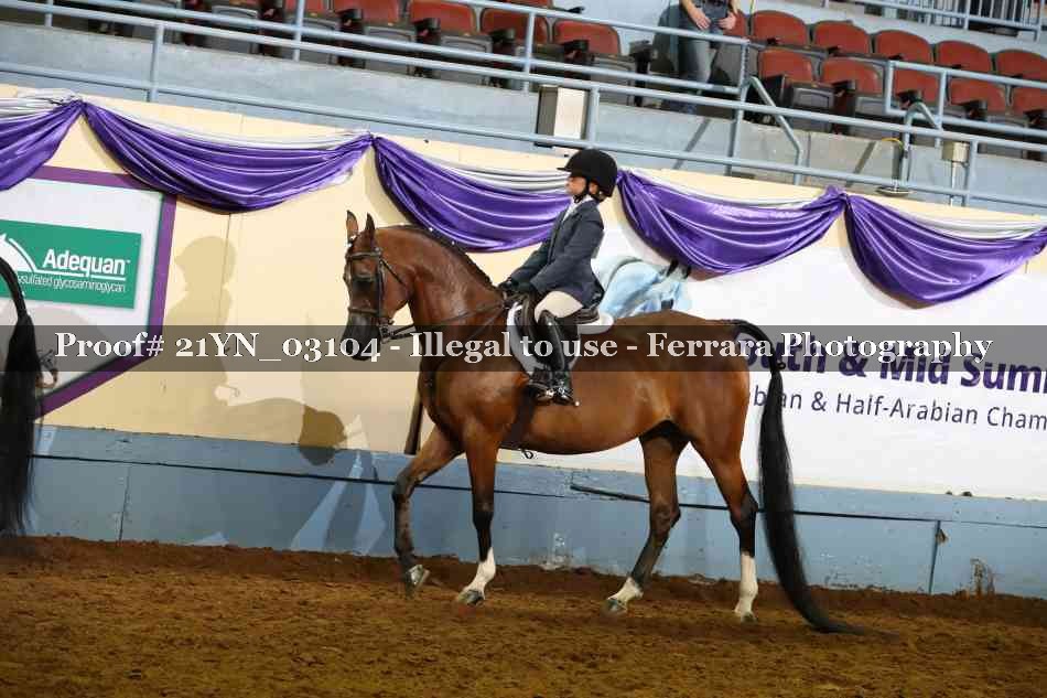 Proof 21YN_03104