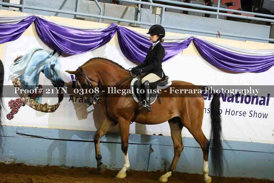 Proof 21YN_03108