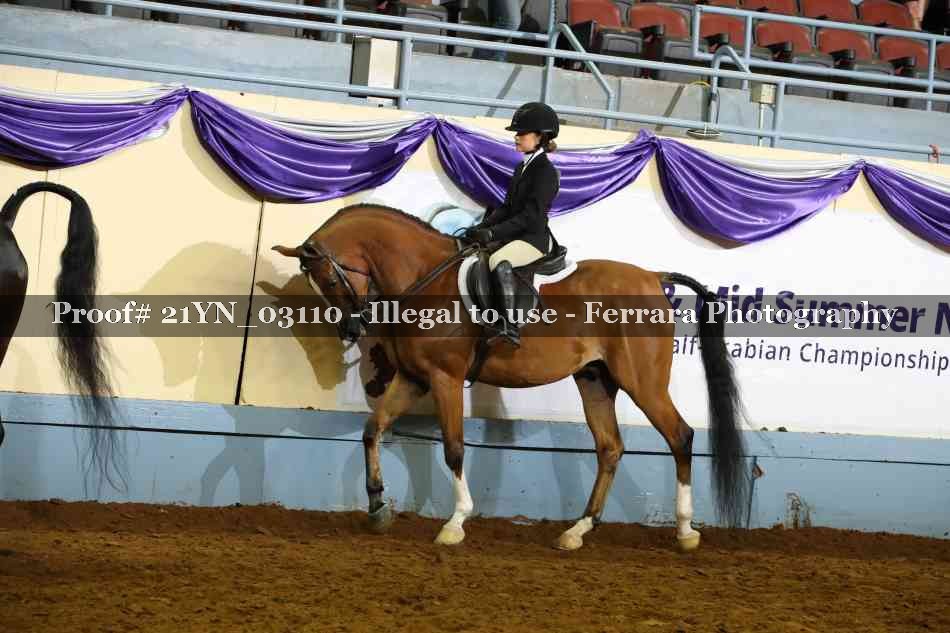 Proof 21YN_03110