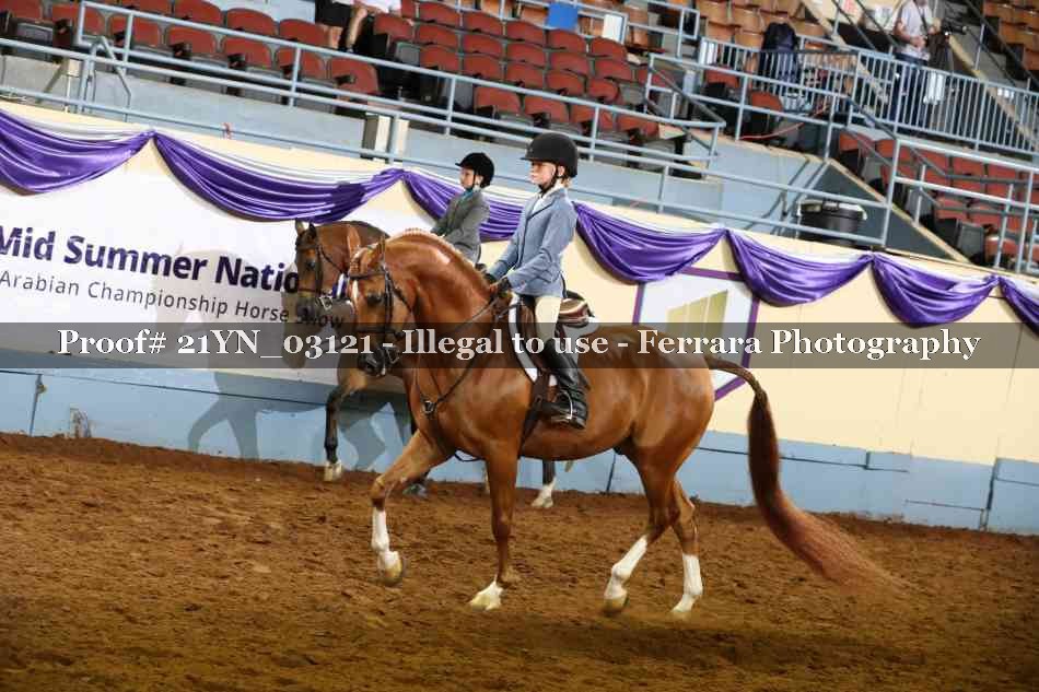 Proof 21YN_03121