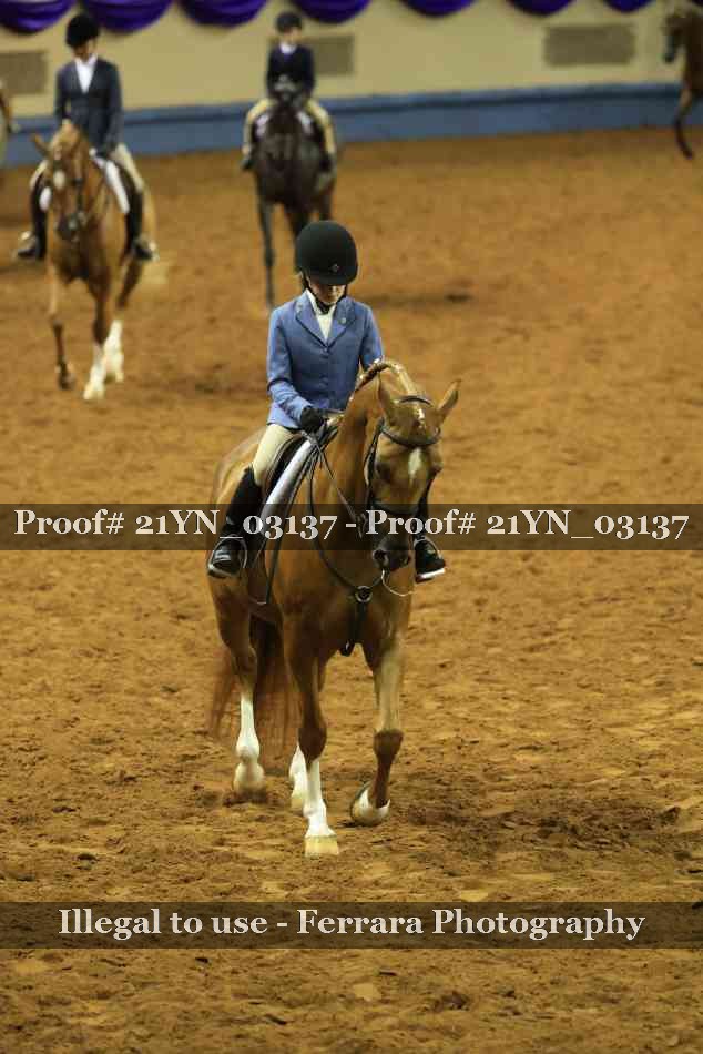 Proof 21YN_03137