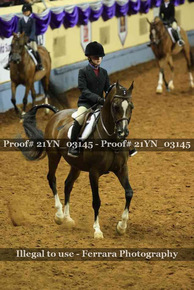 Proof 21YN_03145