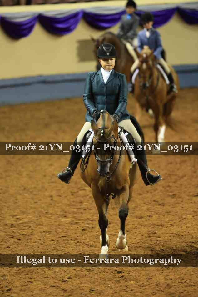 Proof 21YN_03151