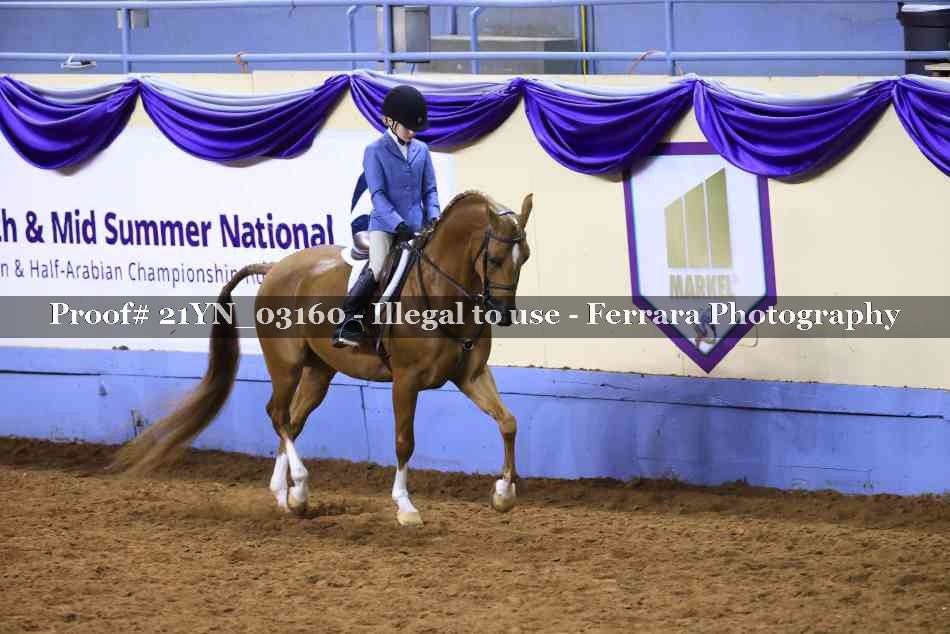 Proof 21YN_03160