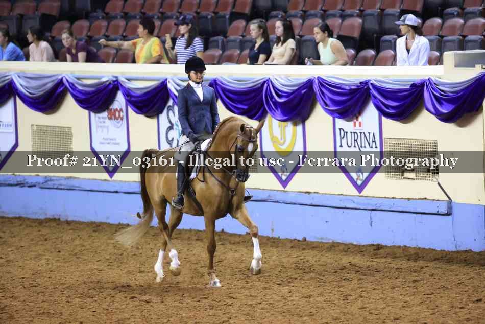Proof 21YN_03161