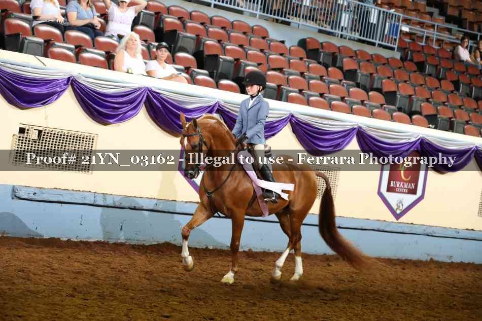 Proof 21YN_03162