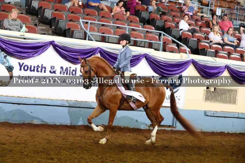 Proof 21YN_03163