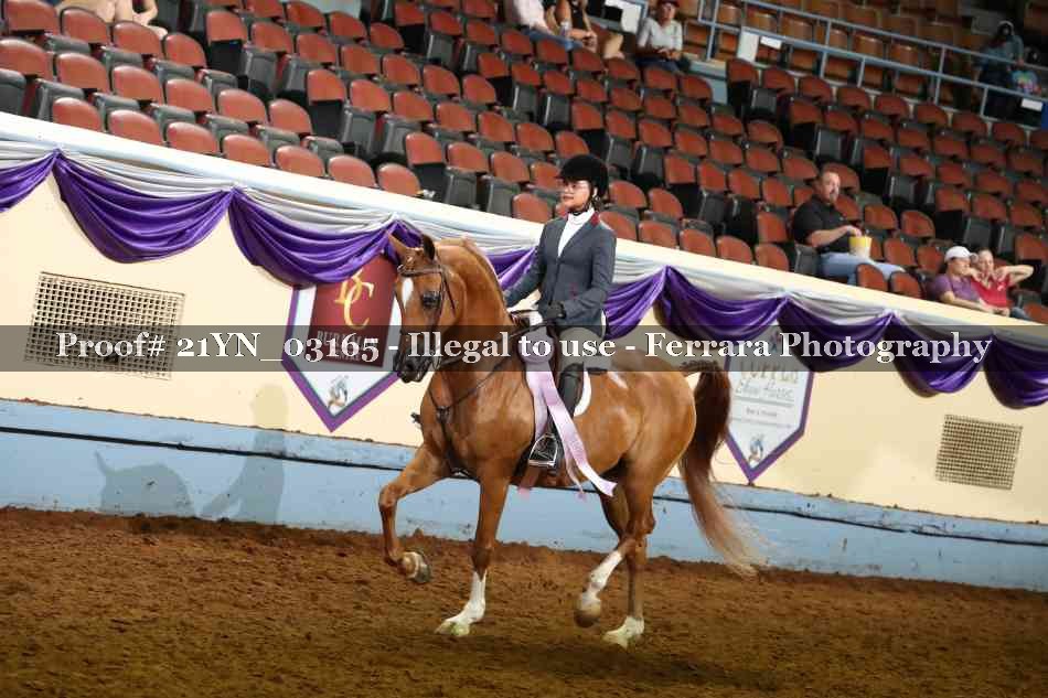 Proof 21YN_03165