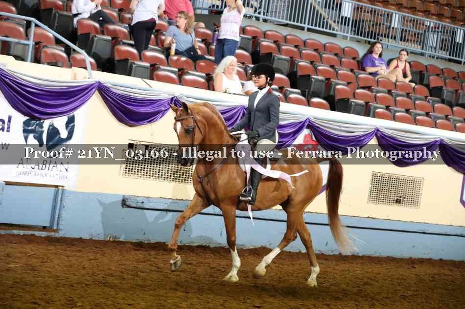 Proof 21YN_03166