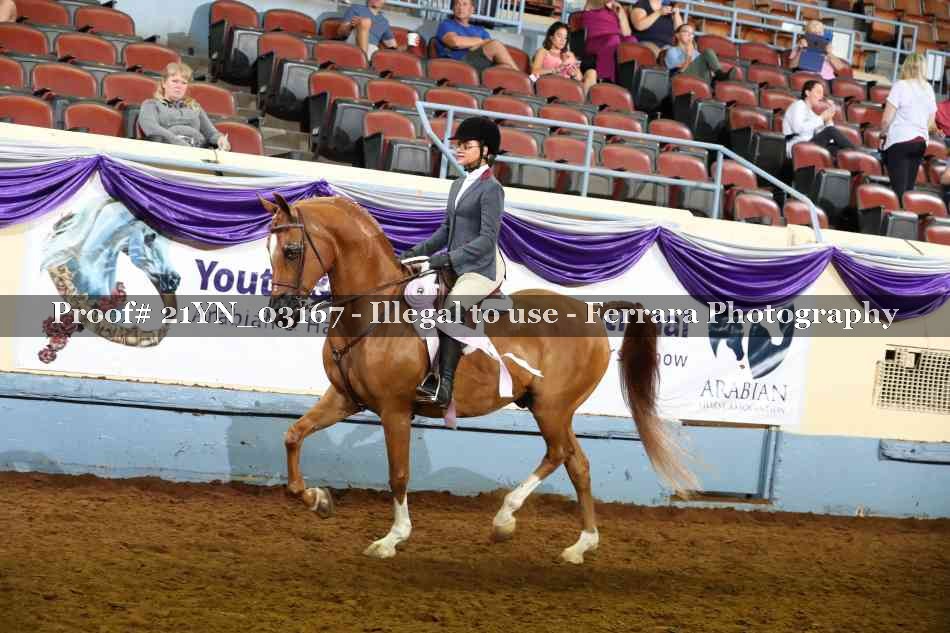 Proof 21YN_03167