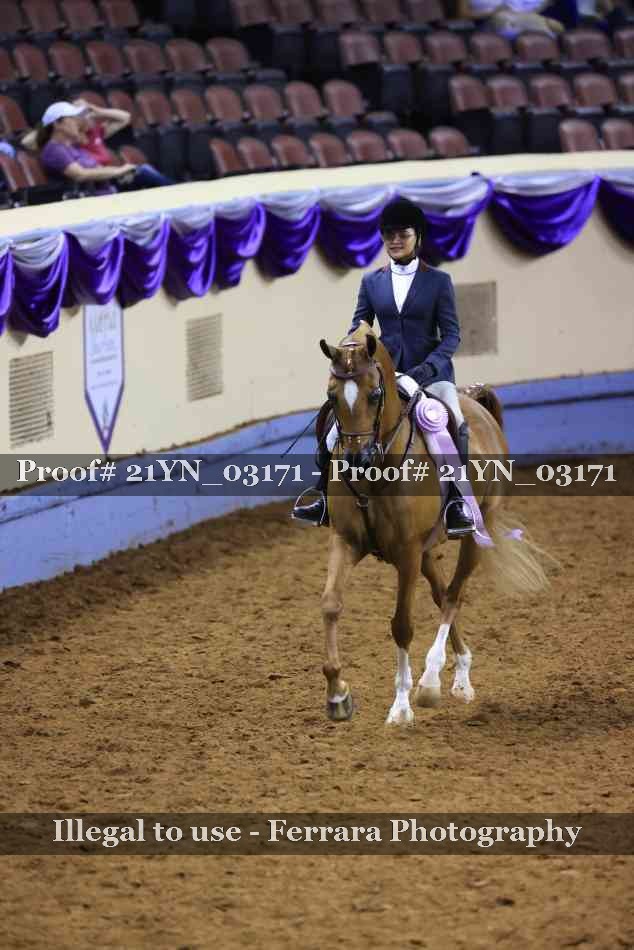 Proof 21YN_03171