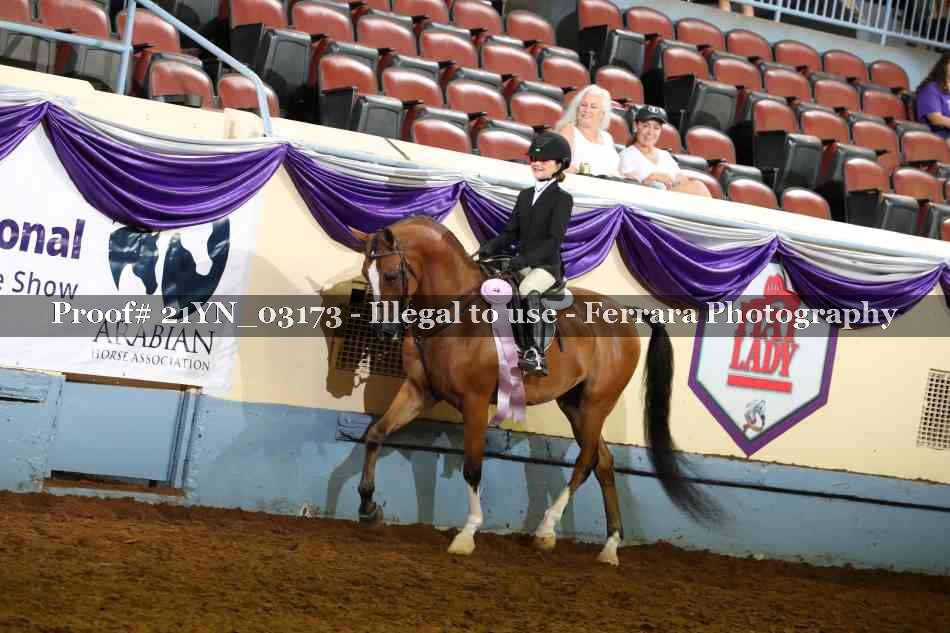 Proof 21YN_03173
