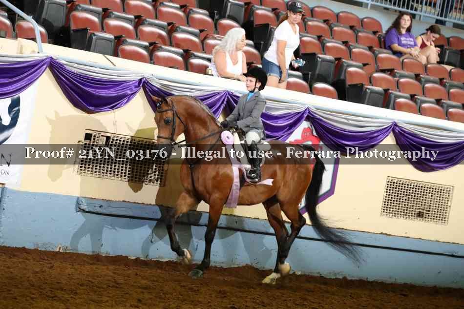 Proof 21YN_03176