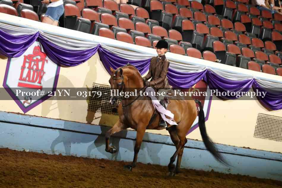 Proof 21YN_03179