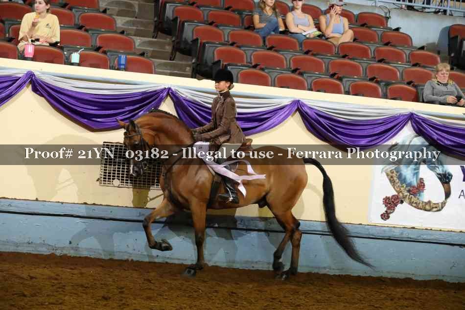 Proof 21YN_03182