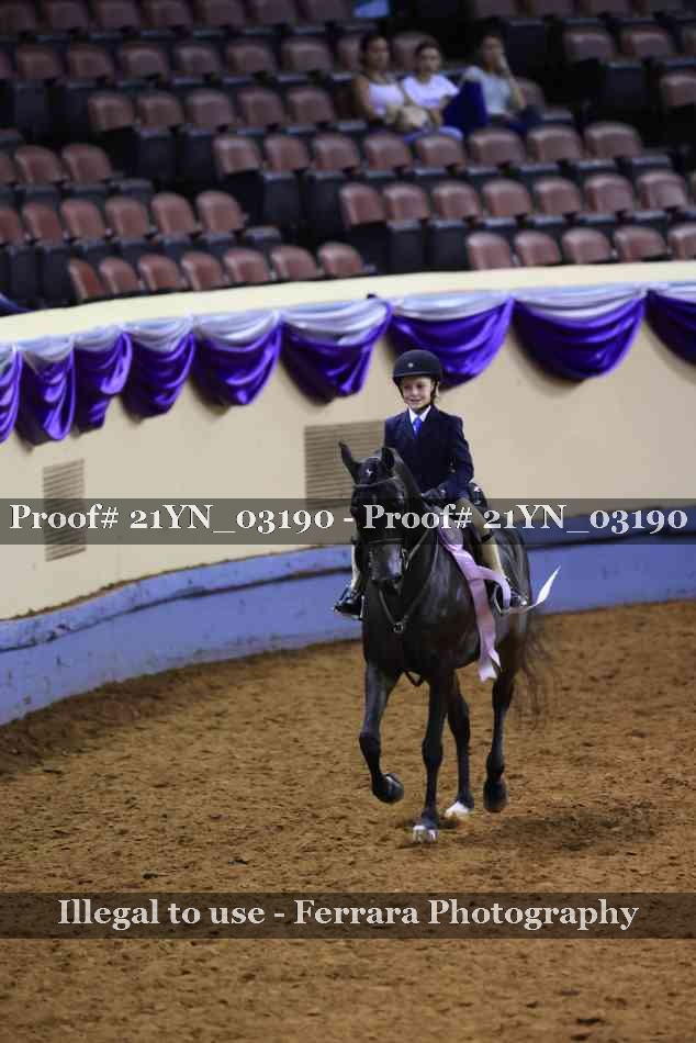Proof 21YN_03190