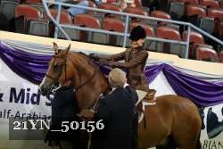 21YN_50156 proof