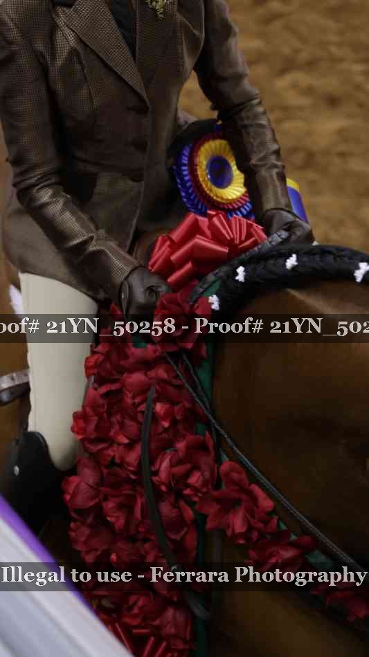 Proof 21YN_50258