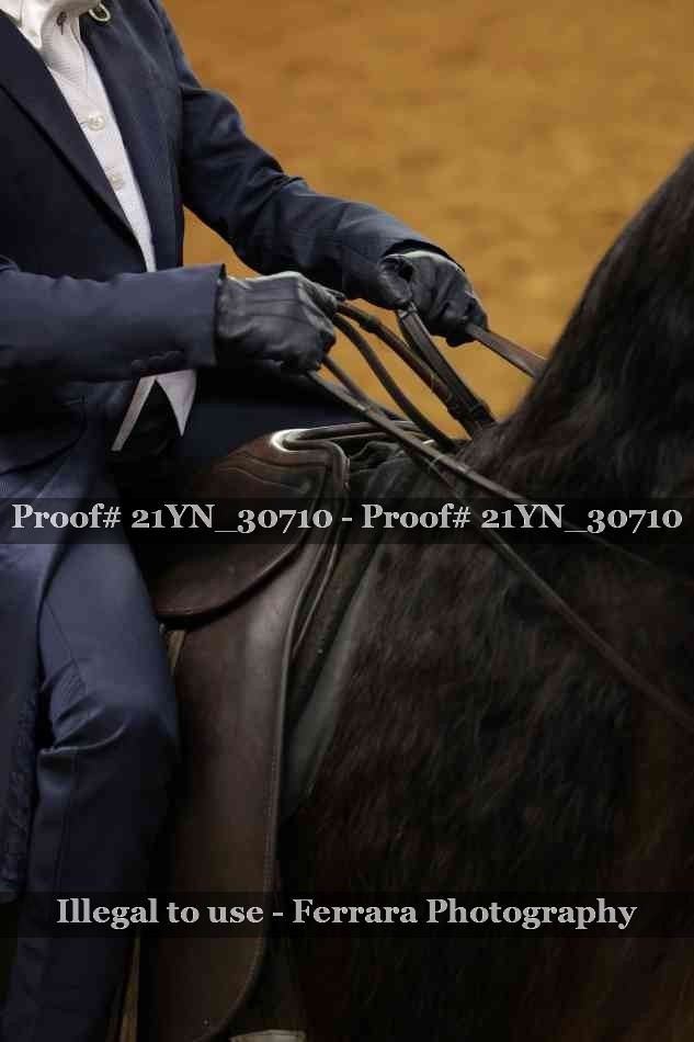 Proof 21YN_30710