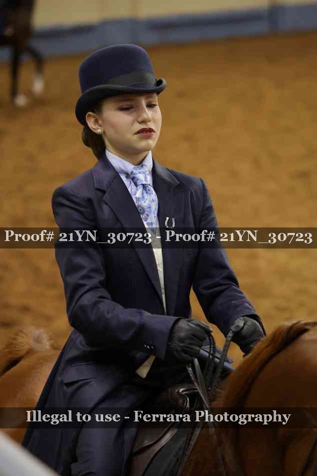Proof 21YN_30723