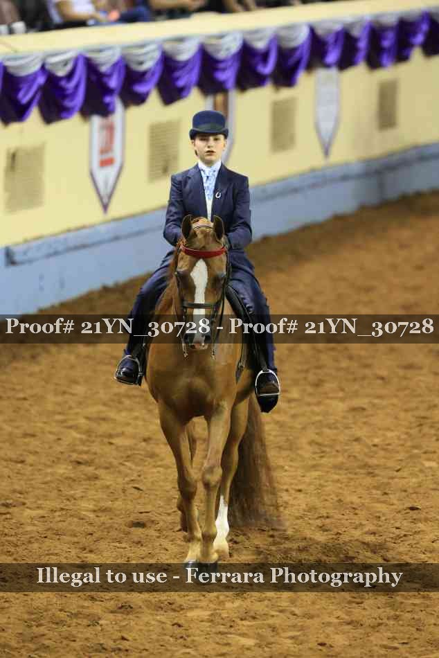 Proof 21YN_30728