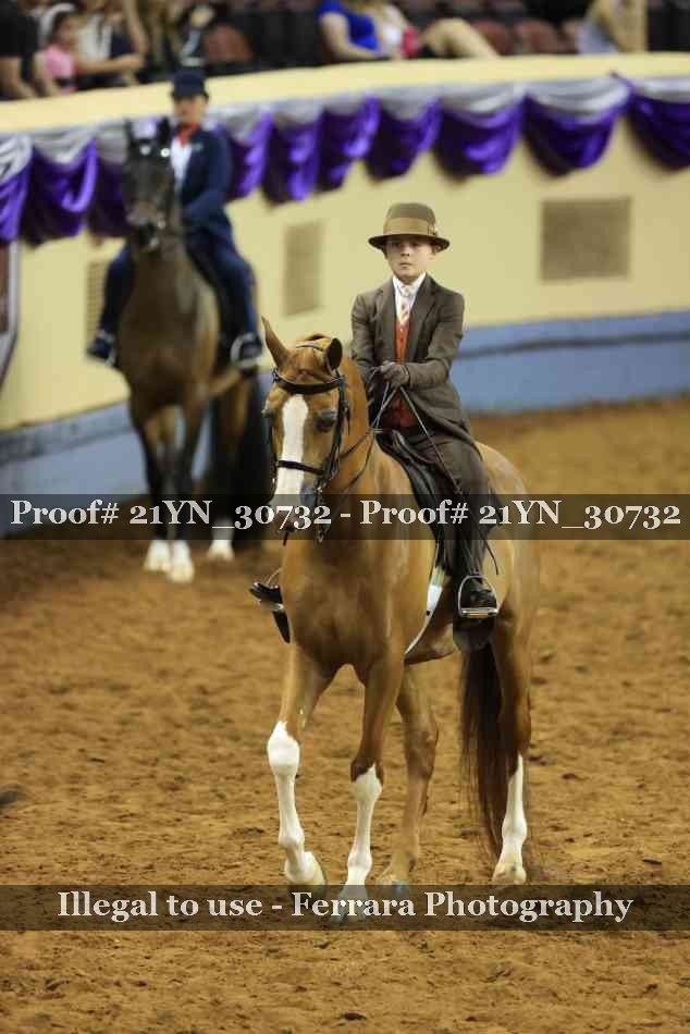Proof 21YN_30732