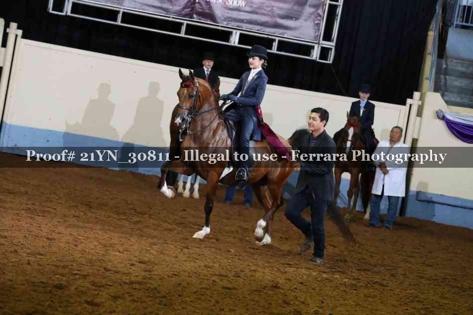 Proof 21YN_30811