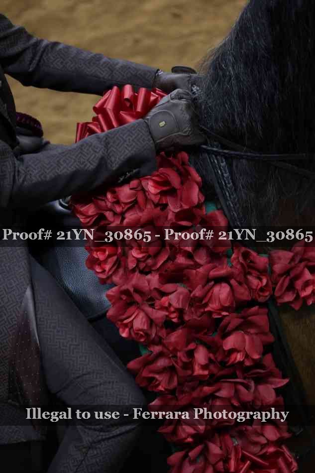 Proof 21YN_30865
