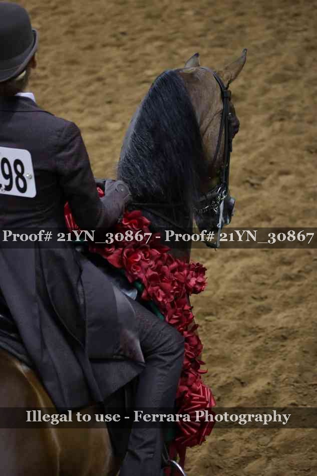 Proof 21YN_30867