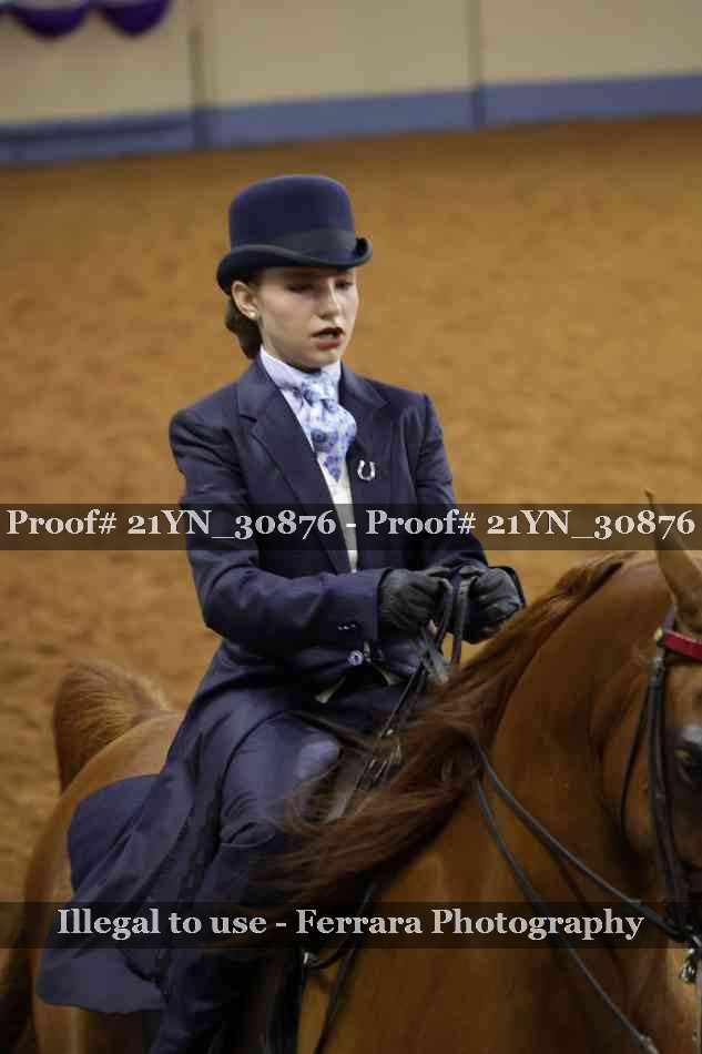 Proof 21YN_30876