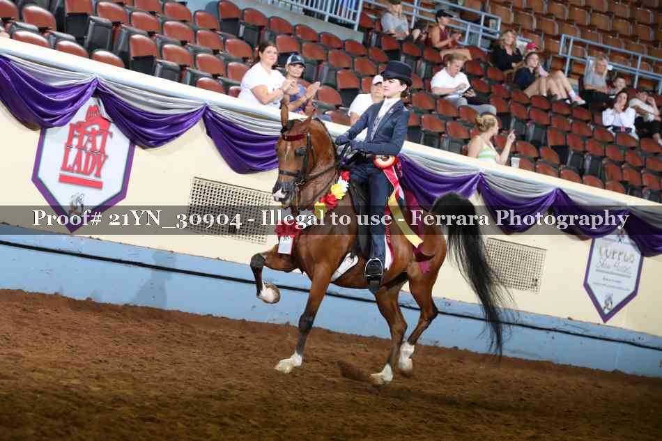 Proof 21YN_30904
