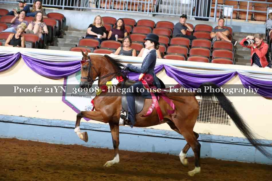 Proof 21YN_30908